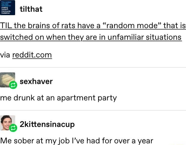 tithat TIL the brains of rats have a random mode that is switched on when they are in unfamiliar situations via redditcom E sexhaver me drunk at an apartment party 2kittensinacup Me sober at my job Ive had for over a year
