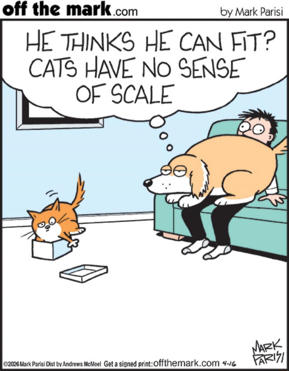 HE THINKS HE CAN FIT? CATS HAVE NO SENSE OF SCALE
