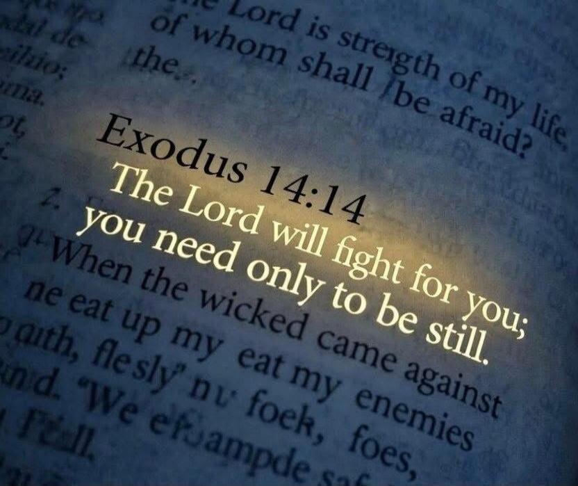 Exodus 14:14 The Lord will fight for you; you need only to be still. Lord is strength of my life, of whom shall I be afraid? When the wicked came against me eat up my enemies
