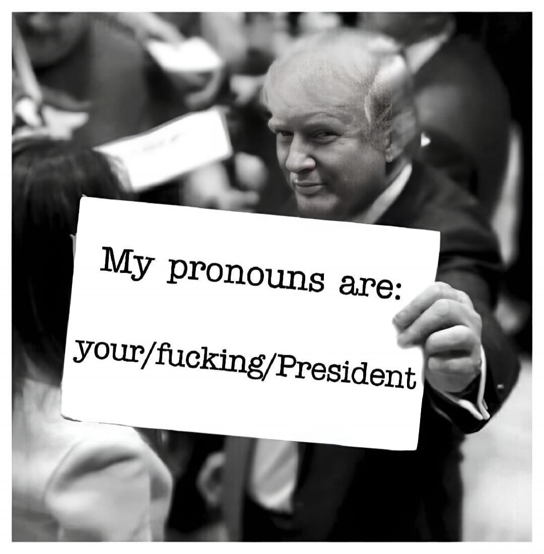 My pronouns are: your/fucking/President
