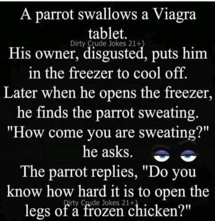 A parrot swallows a Viagra tablet. Dirty Crude Jokes 21+ His owner, disgusted, puts him in the freezer to cool off. Later when he opens the freezer, he finds the parrot sweating. 