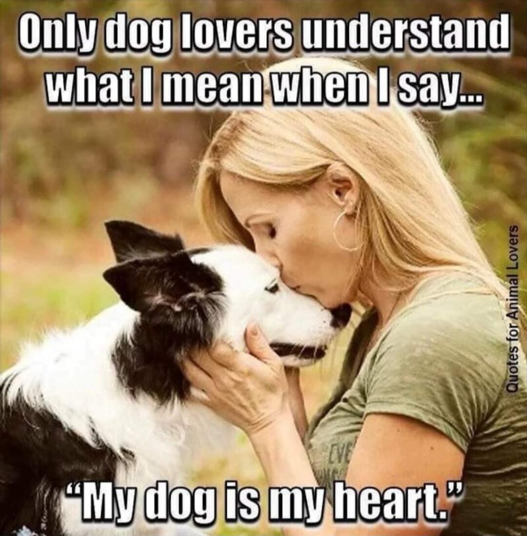 Only dog lovers understand what I mean when I say... 