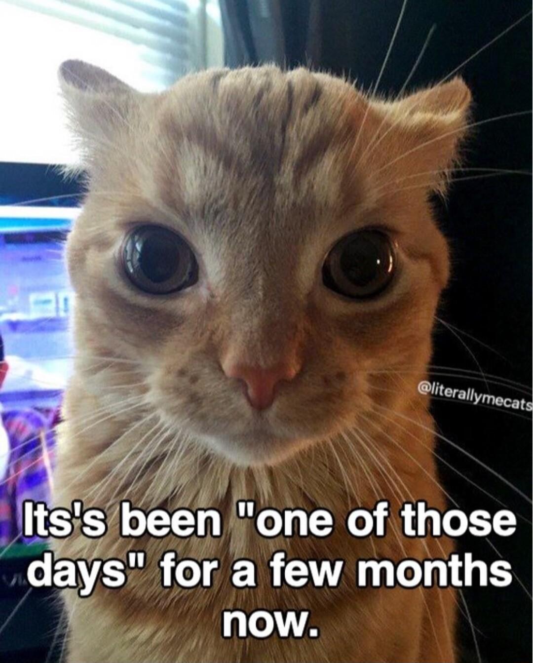 days for a few months 10