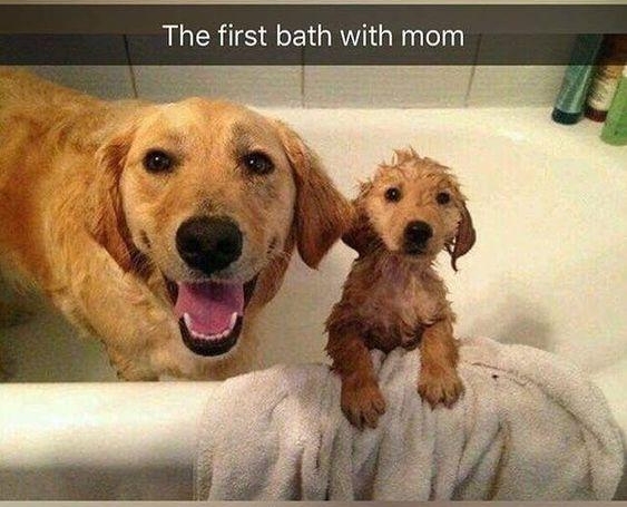 The first bath with mom