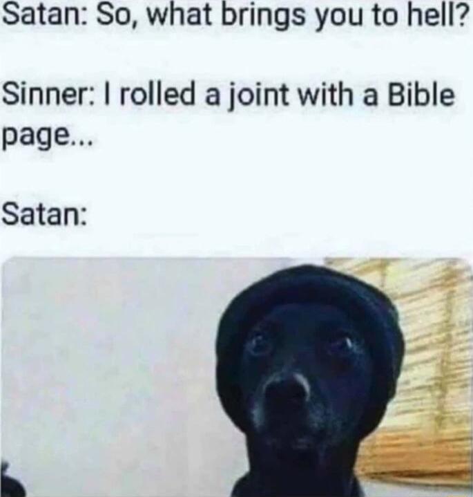 Satan So what brings you to hell Sinner rolled a joint with a Bible page Satan