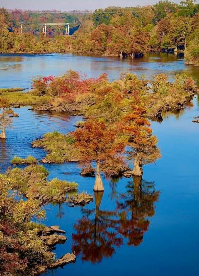 Session ID: 1000514.