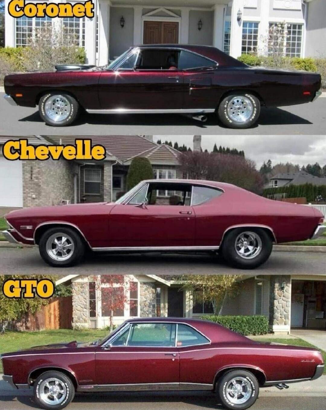 Coronet Chevelle GTO