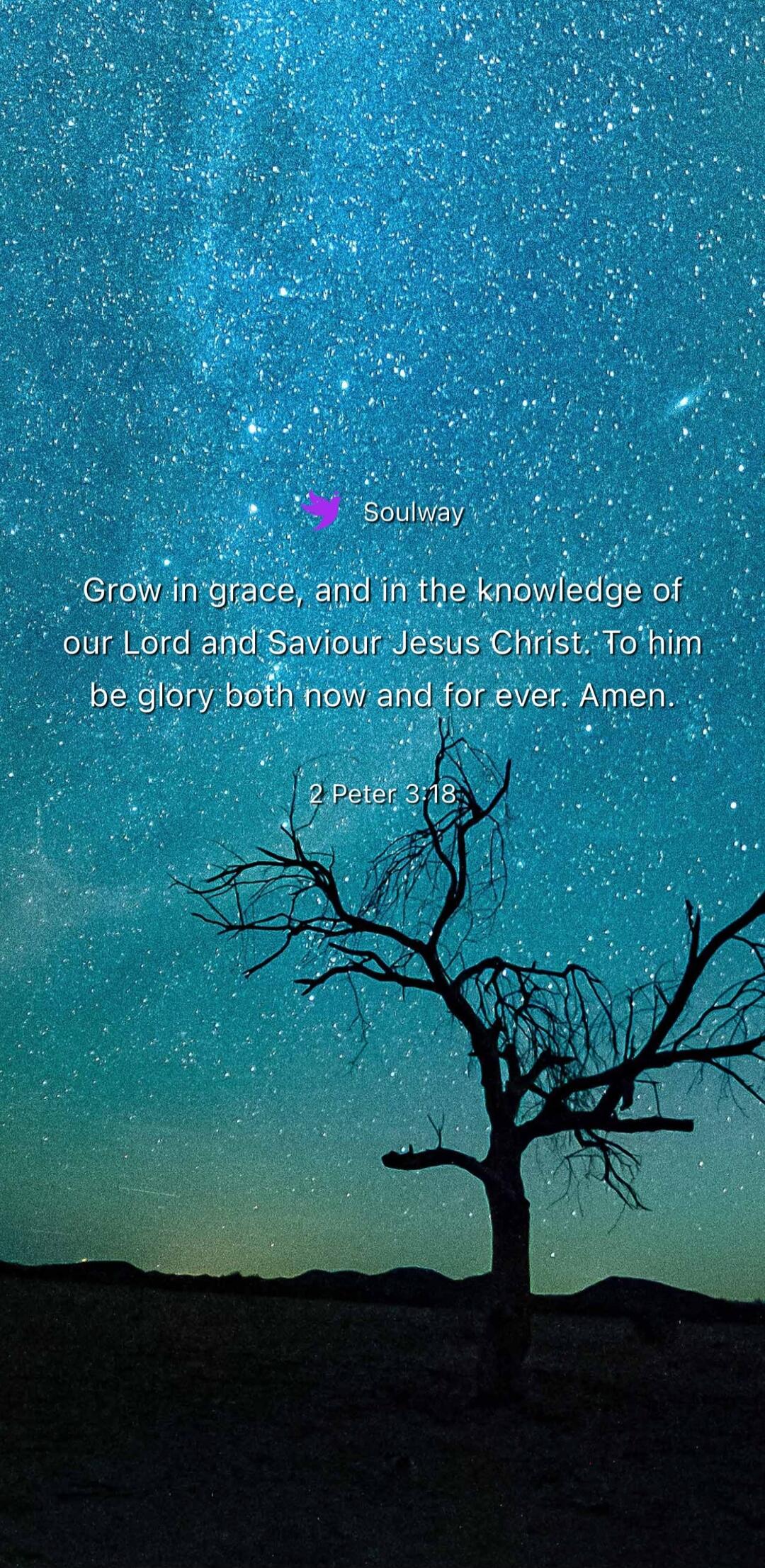 Soulway. Grow in grace, and in the knowledge of our Lord and Saviour Jesus Christ. To him be glory both now and for ever. Amen. 2 Peter 3:18.