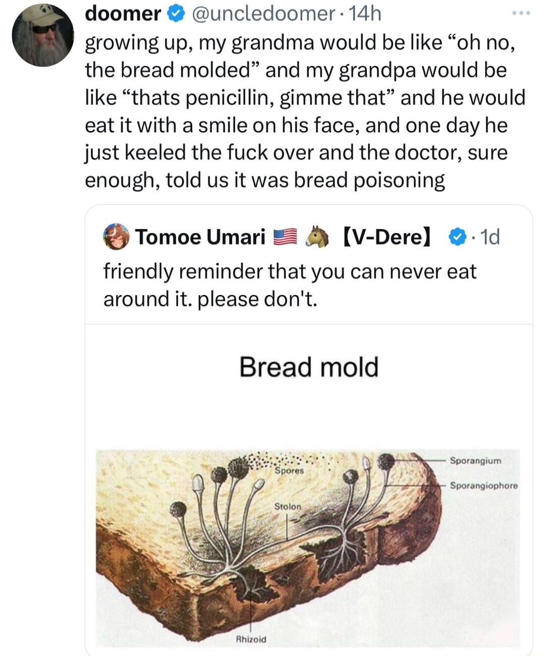 doomer uncledoomer 14h growing up my grandma would be like oh no the bread molded and my grandpa would be like thats penicillin gimme that and he would eat it with a smile on his face and one day he just keeled the fuck over and the doctor sure enough told us it was bread poisoning Tomoe Umari V Dere 1d friendly reminder that you can never eat around it please dont Bread mold