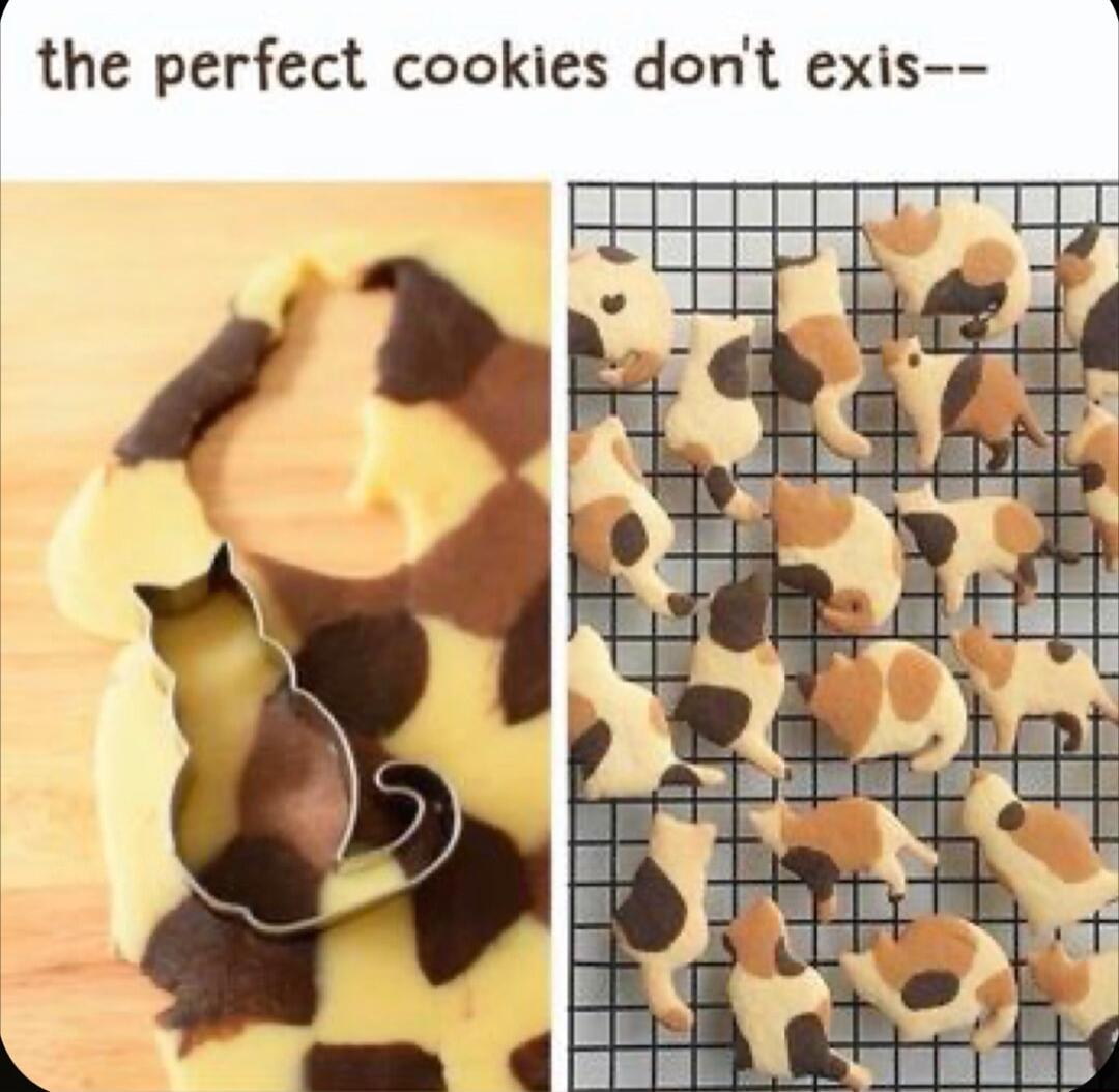 A the perfect cookies dont exis