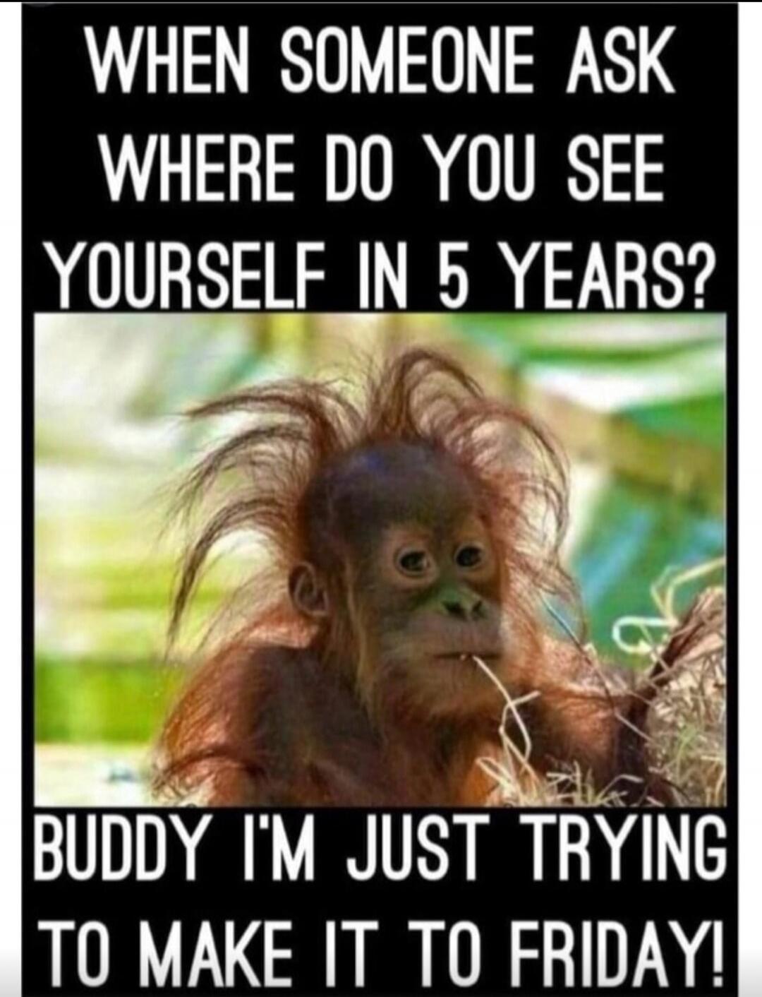 WHEN SOMEONE ASK WHERE DO YOU SEE YOURSELF IN 5 YEARS? BUDDY I'M JUST TRYING TO MAKE IT TO FRIDAY!