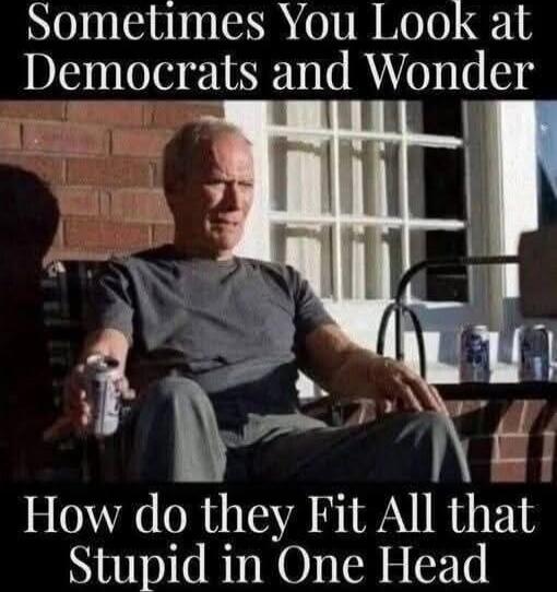 Sometimes You Look at Democrats and Wonder How Do They Fit All That Stupid In One Head