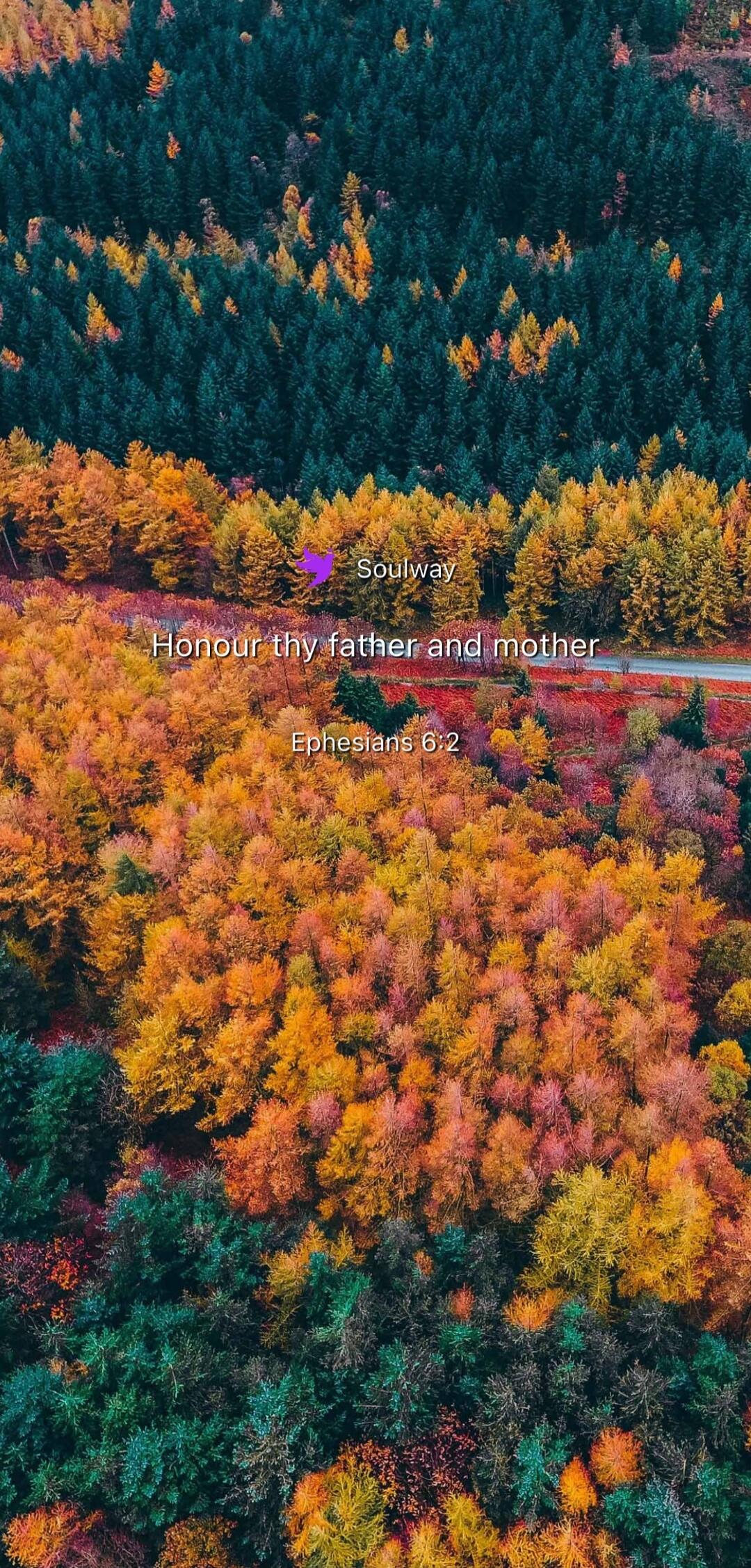 Soulway Honour thy father and mother Ephesians 6:2