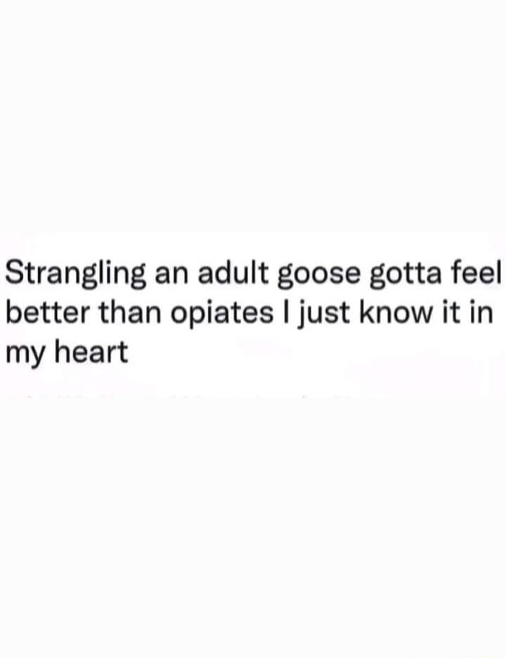 Strangling an adult goose gotta feel better than opiates just know it in my heart