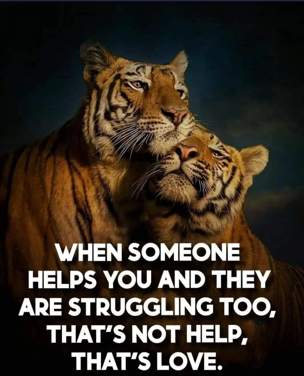 WHEN SOMEONE HELPS YOU AND THEY ARE STRUGGLING TOO, THAT'S NOT HELP, THAT'S LOVE.
