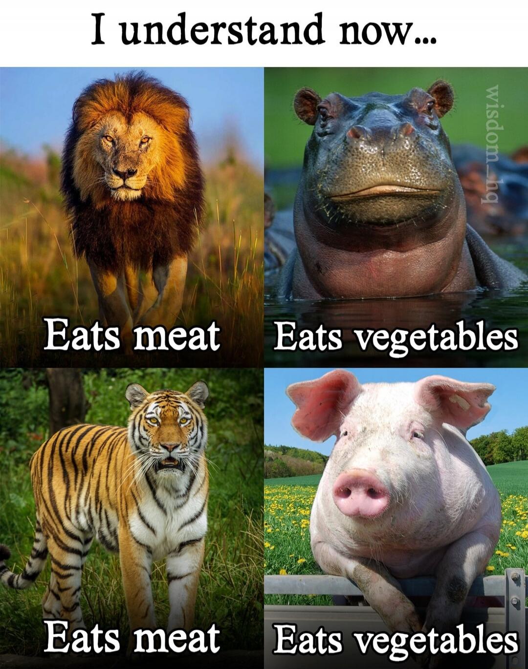 I understand now... Eats meat Eats vegetables Eats meat Eats vegetables