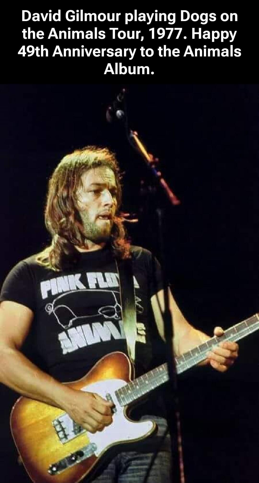 David Gilmour playing Dogs on the Animals Tour, 1977. Happy 49th Anniversary to the Animals Album.