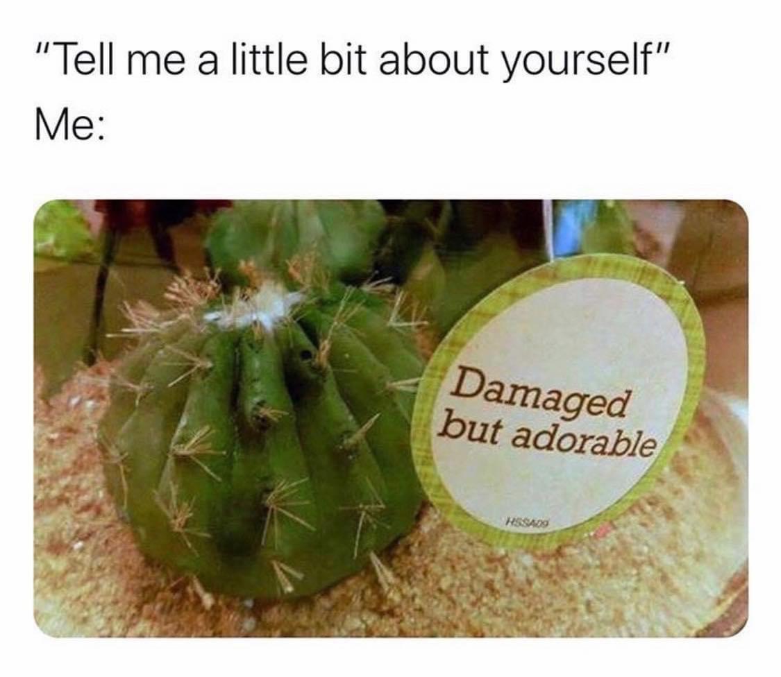 Tell me a little bit about yourself Me