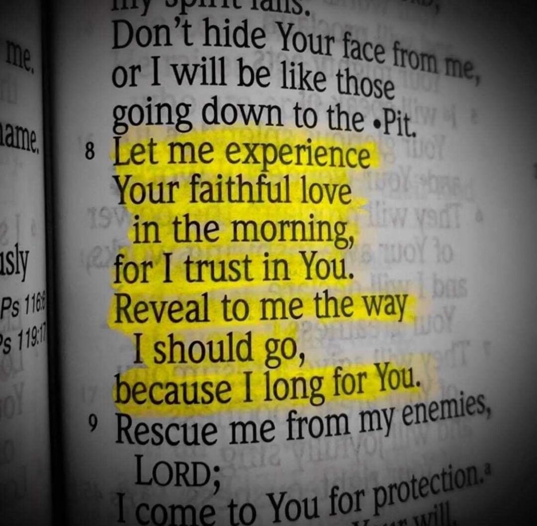 Don't hide Your face from me, or I will be like those going down to the Pit. Let me experience Your faithful love in the morning, for I trust in You. Reveal to me the way I should go, because I long for You. Rescue me from my enemies, LORD; I come to You for protection.