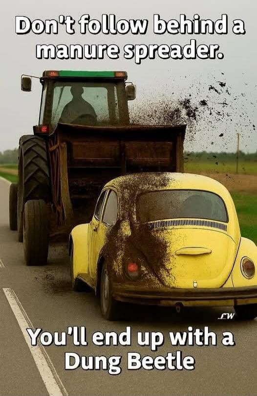 Don't follow behind a manure spreader. You'll end up with a Dung Beetle.