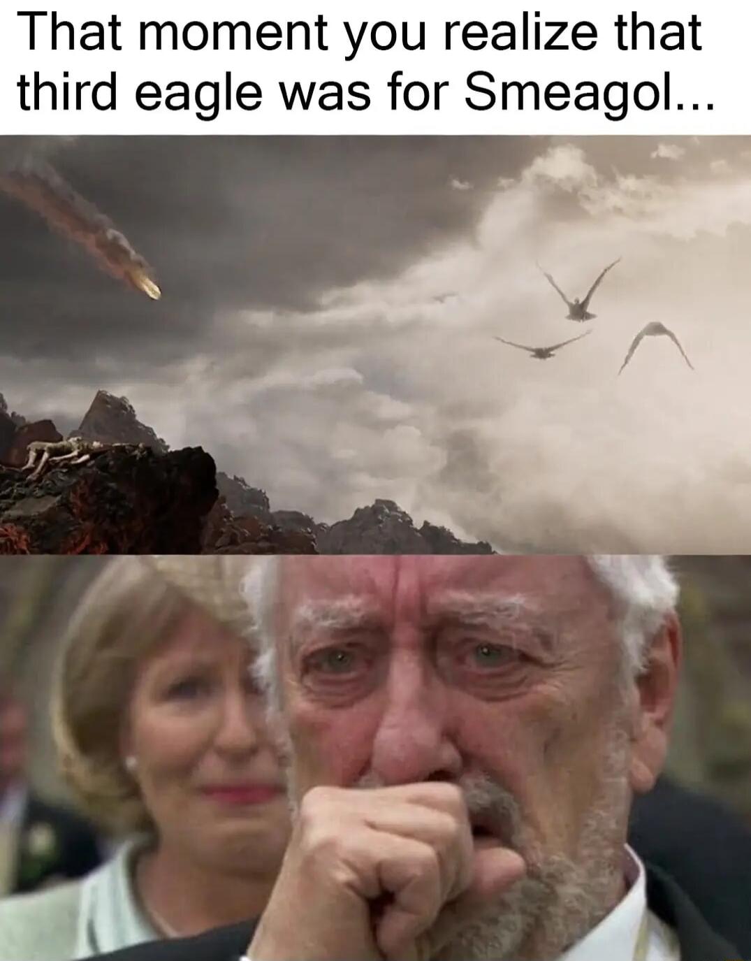 That moment you realize that third eagle was for Smeagol