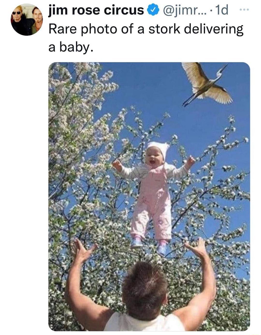 jim rose circus jimr 1d Rare photo of a stork delivering a baby