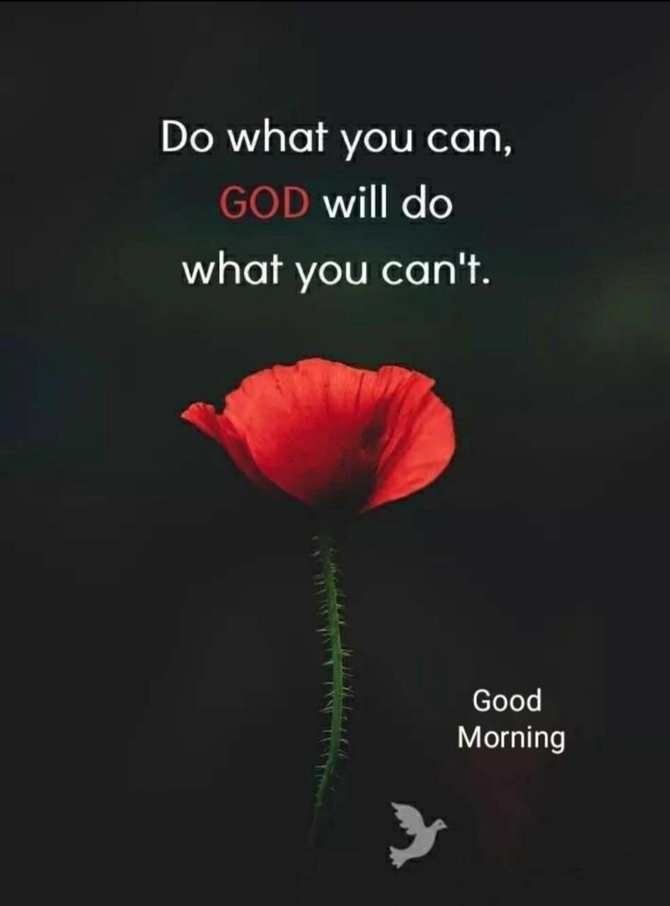 Do what you can, GOD will do what you can't. Good Morning