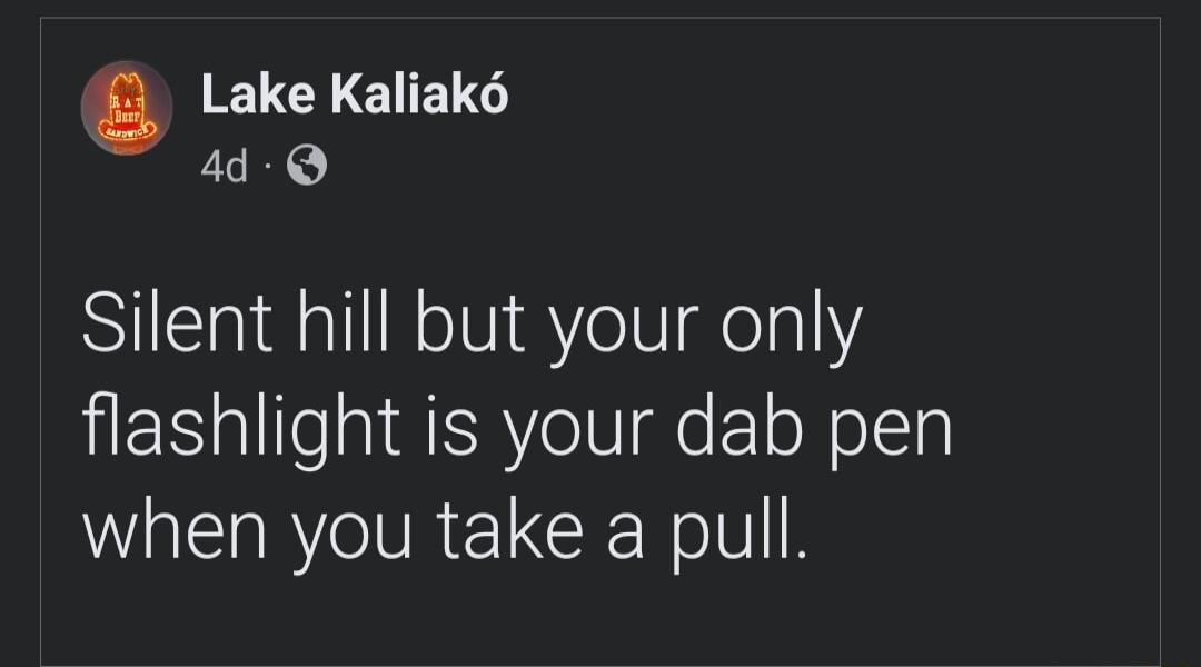 ETEY E1ET 4d Q Silent hill but your only flashlight is your dab pen when you take a pull