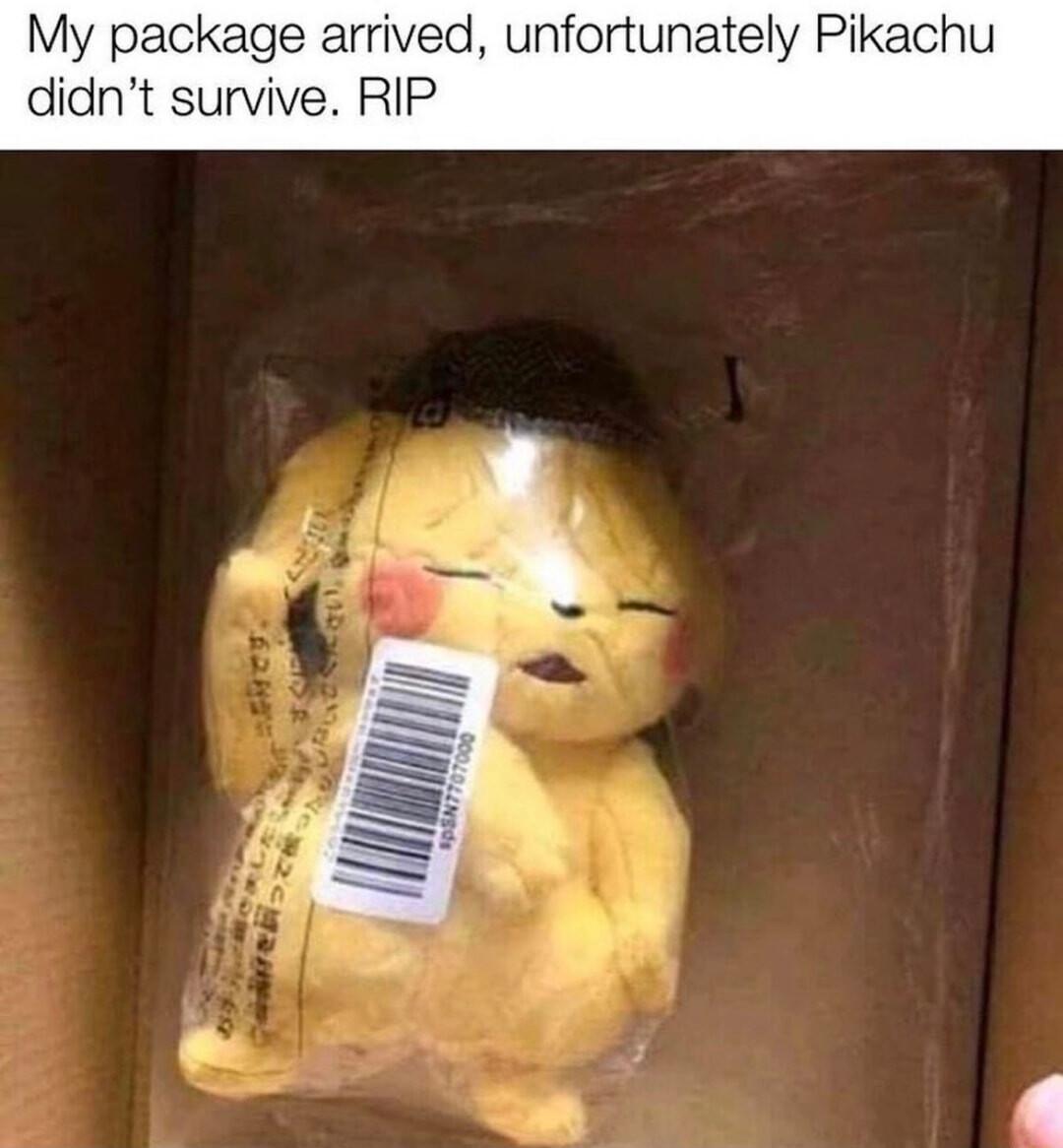 My package arrived unfortunately Pikachu didnt survive RIP