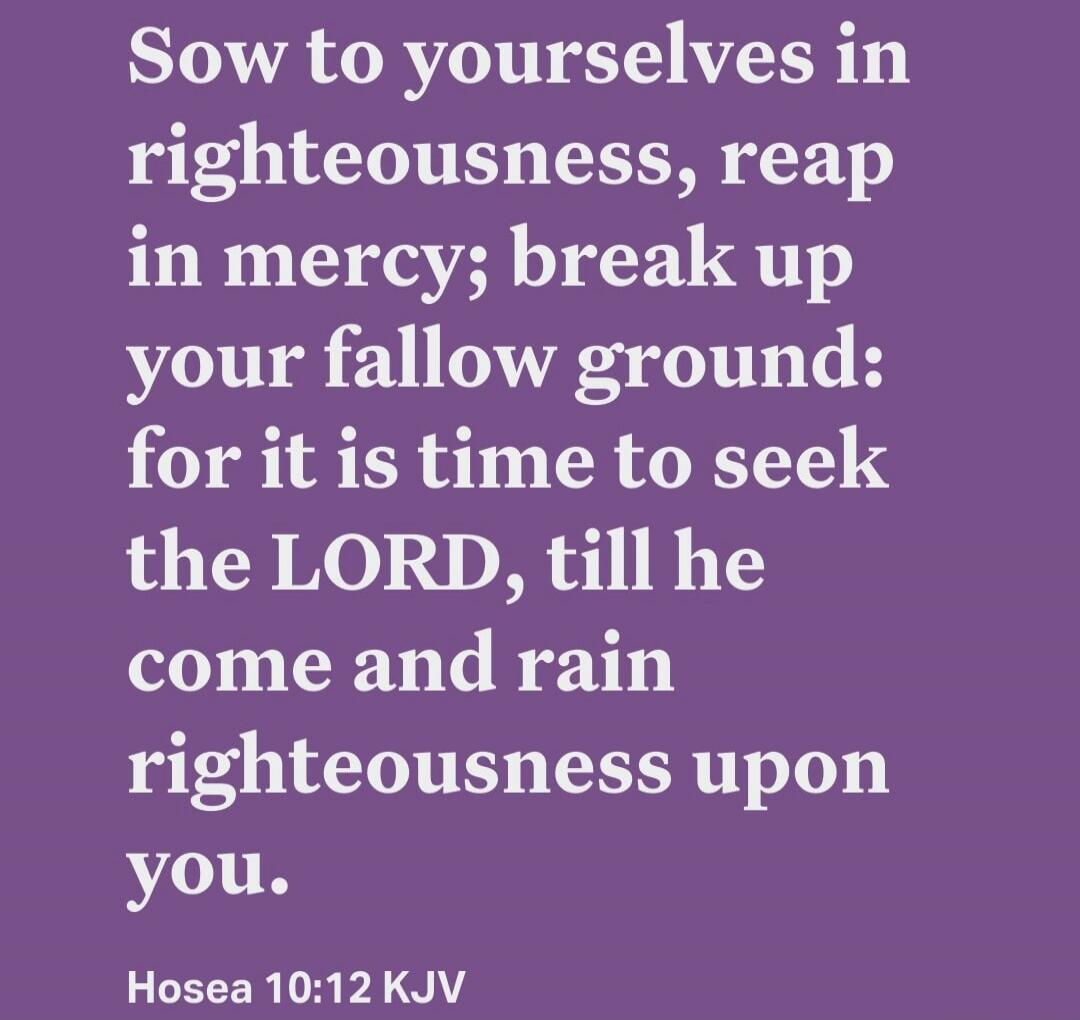 Sow to yourselves in righteousness, reap in mercy; break up your fallow ground: for it is time to seek the LORD, till he come and rain righteousness upon you. Hosea 10:12 KJV