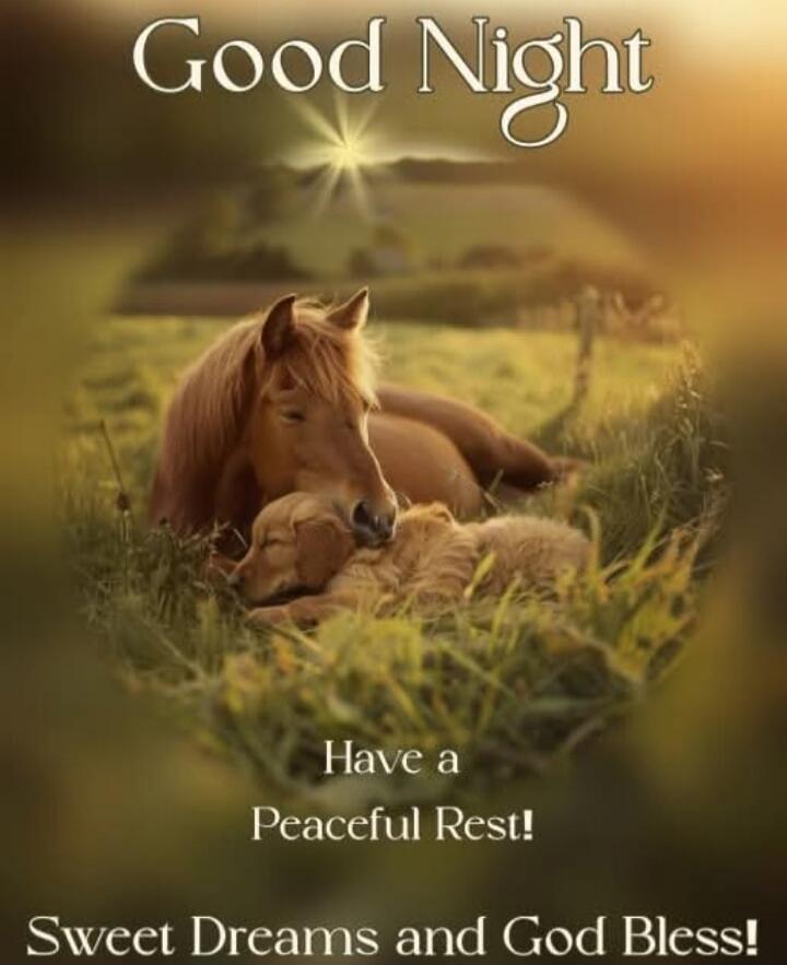 Good Night Have a Peaceful Rest! Sweet Dreams and God Bless!