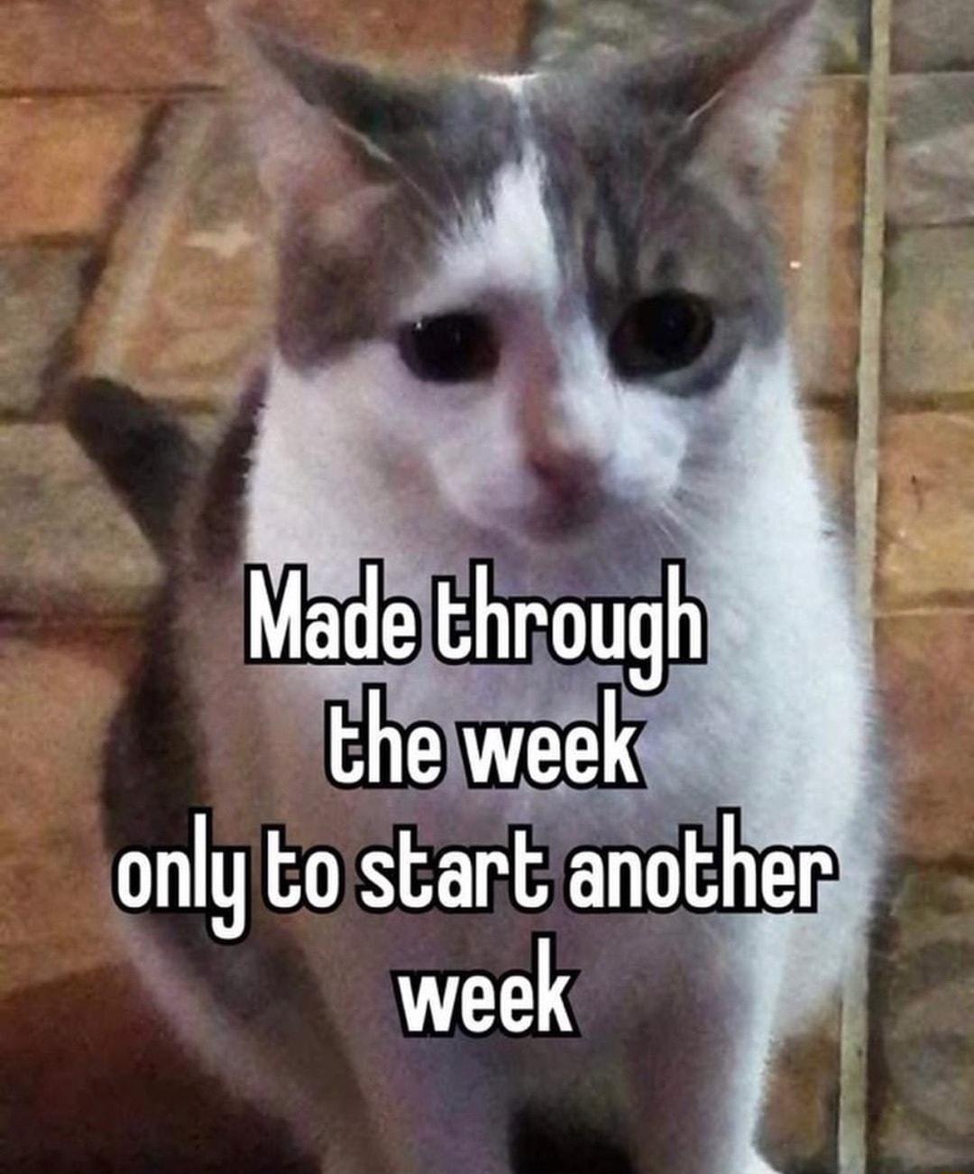 only to start another week