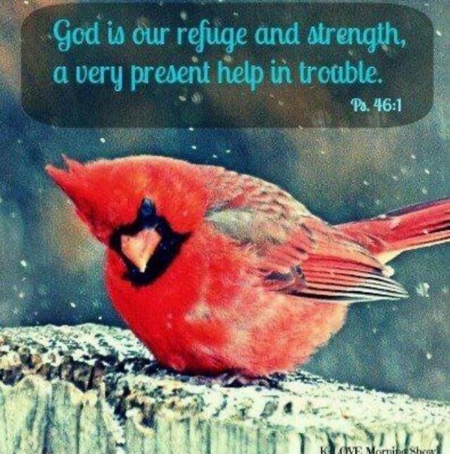 God is our refuge and strength, a very present help in trouble. Ps. 46:1