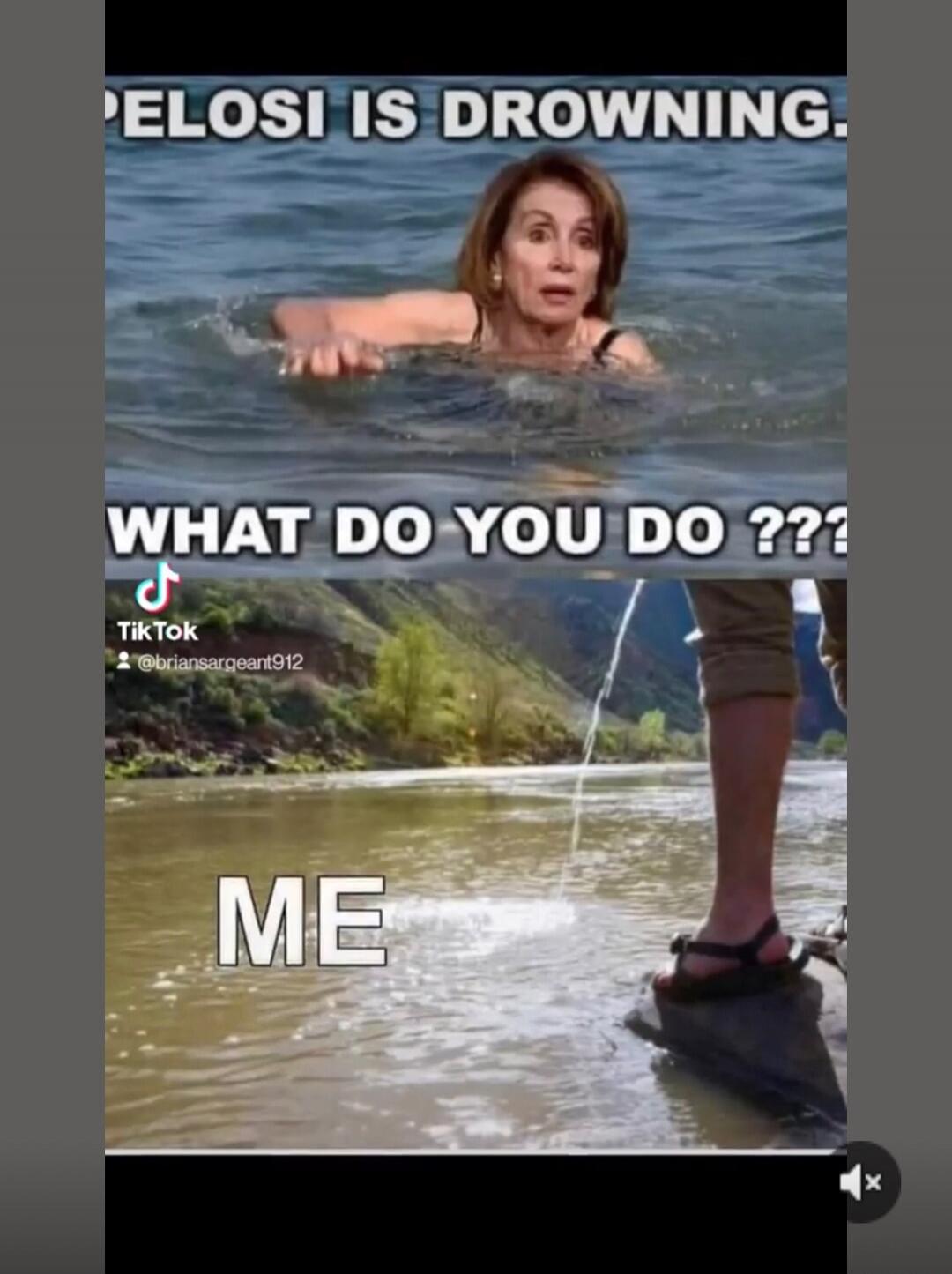 PELOSI IS DROWNING. WHAT DO YOU DO ??? ME