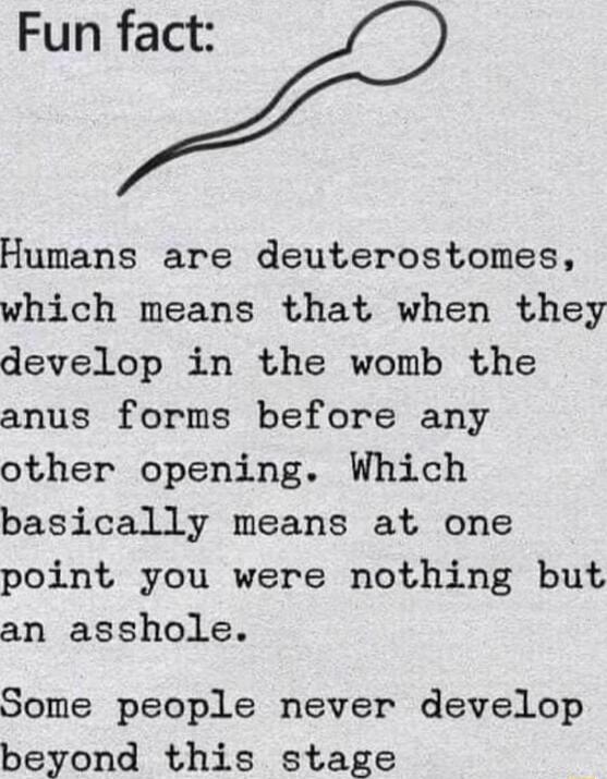 Fun fact Humans are deuterostomes which means that when they develop in the womb the anus forms before any other opening Which basically means at one point you were nothing but an asshole Some people never develop beyond this stage