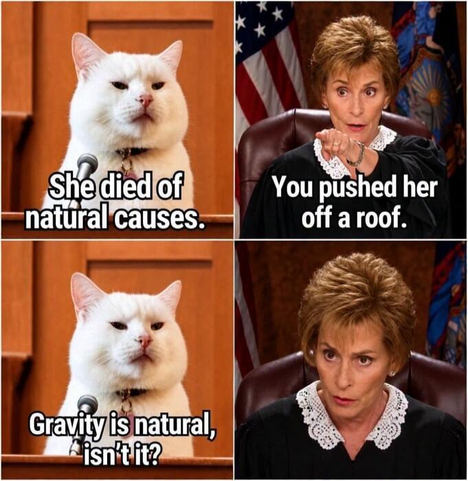 She died of natural causes. You pushed her off a roof. Gravity is natural, isn't it?