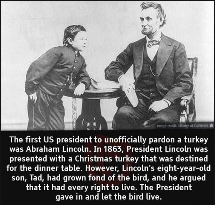 The first US president to unofficially pardon a turkey was Abraham Lincoln In 1863 President Lincoln was presented with a Christmas turkey that was destined T N T T Y 10 W ARV T Tl D R T VT T S son Tad had grown fond of the bird and he argued that it had every right to live The President CEVCRLIEL TG G T G