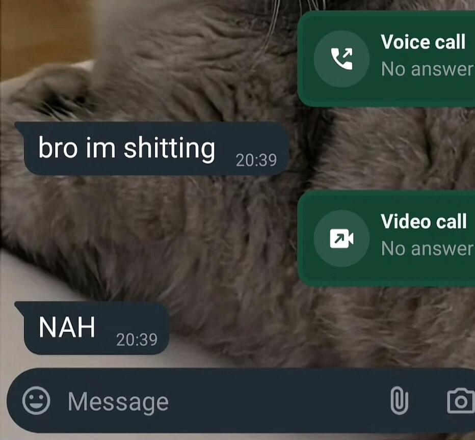 i broim shitting Voice call No answer Video call No answer 0