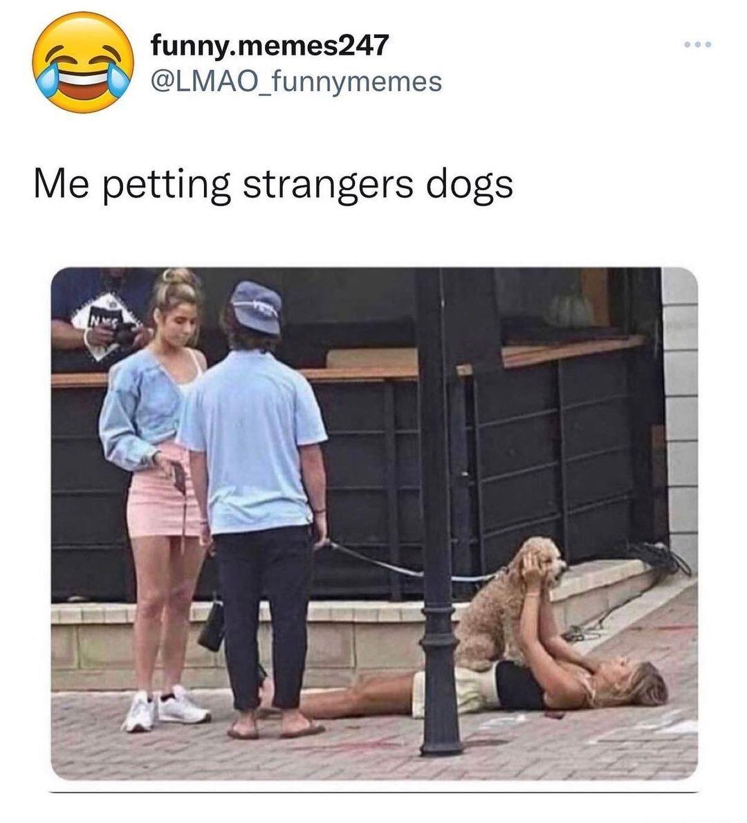 funnymemes247 LMAO_funnymemes Me petting strangers dogs