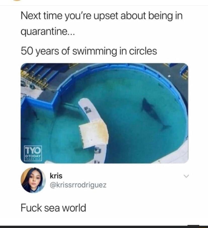 Next time youre upset about being in quarantine 50 years of swimming in circles O ks Fuck sea world