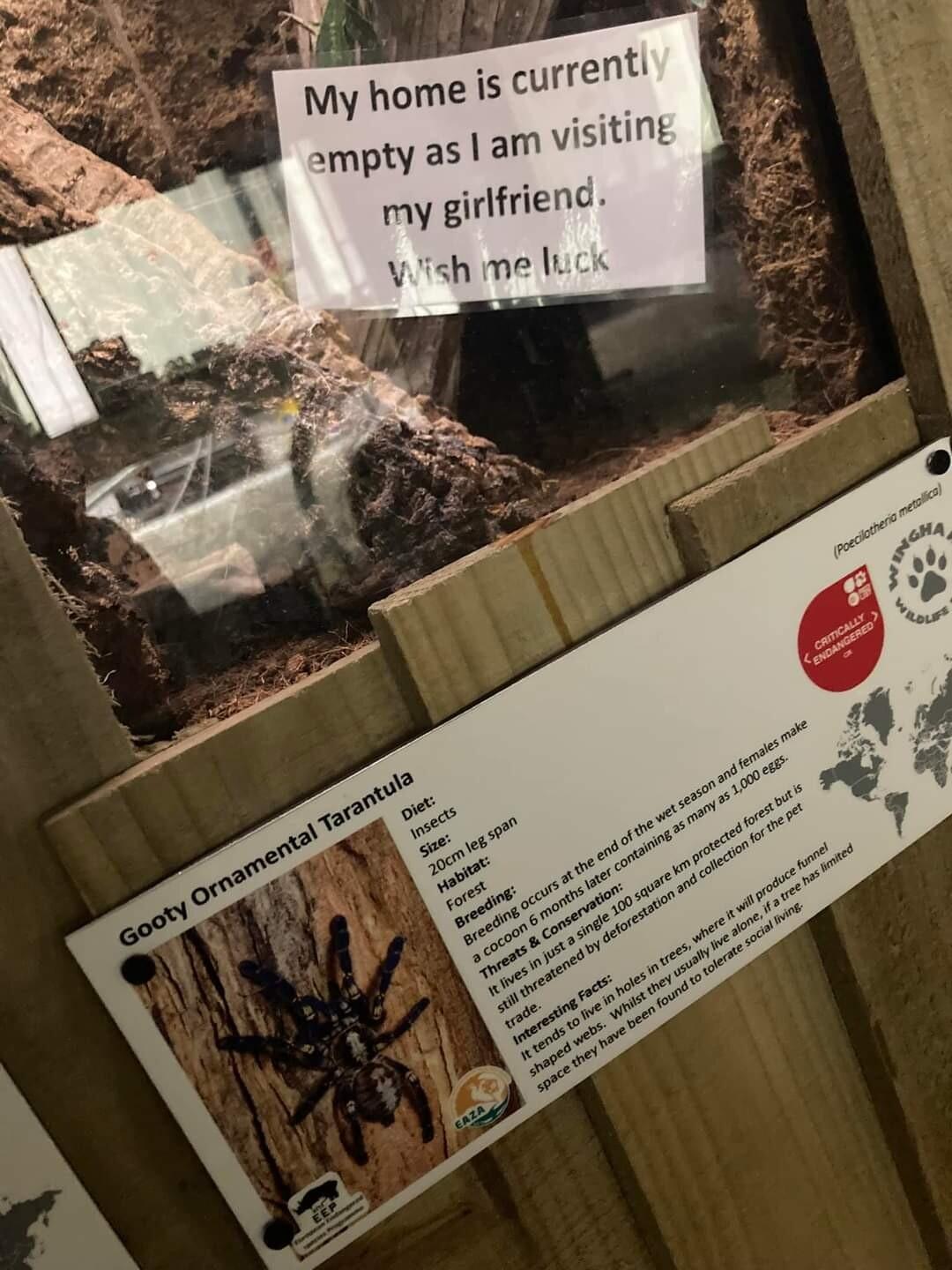 iy My home is V mpty as 12 my girlfriend rrent m visiting