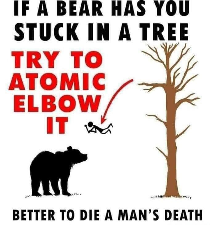 IF A BEAR HAS YOU STUCK IN A TREE TRY TO ATOMIC ELBOW IT BETTER TO DIE A MAN'S DEATH