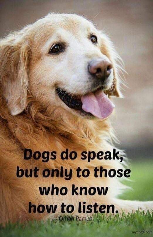 Dogs do speak, but only to those who know how to listen.