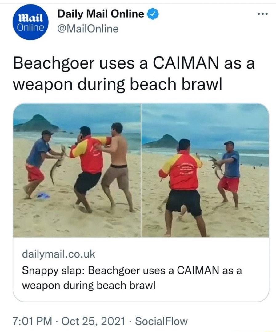 pe1 Daily Mail Online lmgv MailOnline Beachgoer uses a CAIMAN as a weapon during beach brawl dailymailcouk Snappy slap Beachgoer uses a CAIMAN as a weapon during beach brawl 701 PM Oct 25 2021 SocialFlow