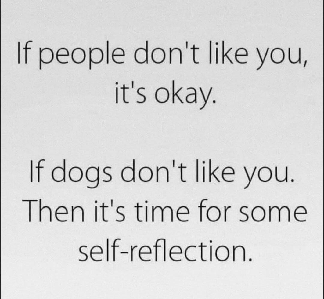 If people don't like you, it's okay. If dogs don't like you. Then it's time for some self-reflection.