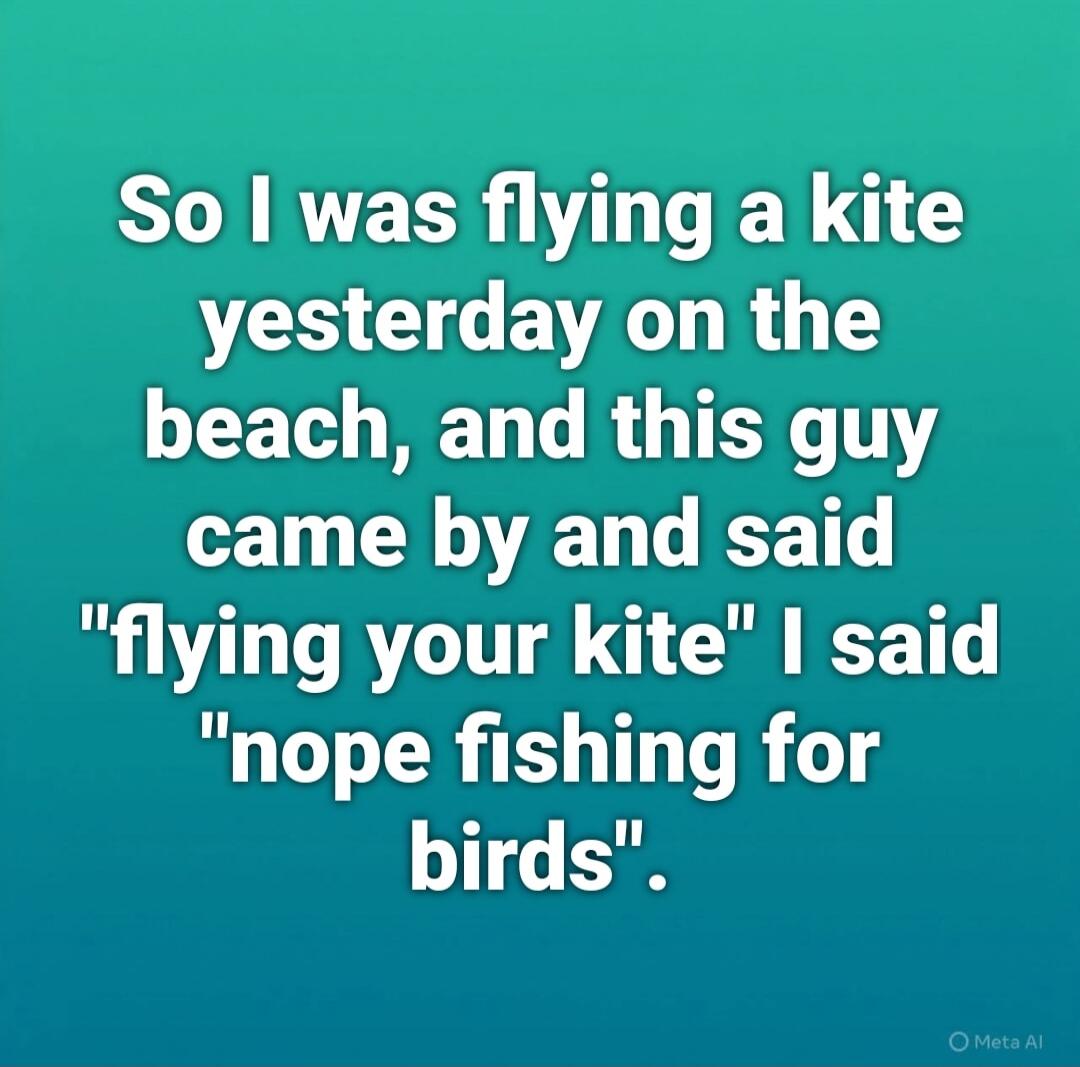 So I was flying a kite yesterday on the beach, and this guy came by and said 