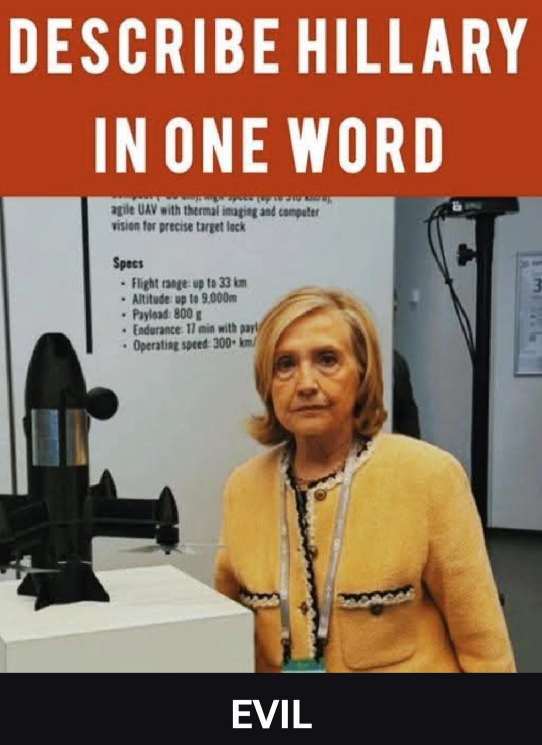DESCRIBE HILLARY IN ONE WORD. agile UAV with thermal imaging and computer vision for precise target lock. Specs: Flight range: up to 33 km, Altitude: up to 9,000m, Payload: 800 g, Endurance: 17 min with payl, Operating speed: 300+ km/. EVIL.