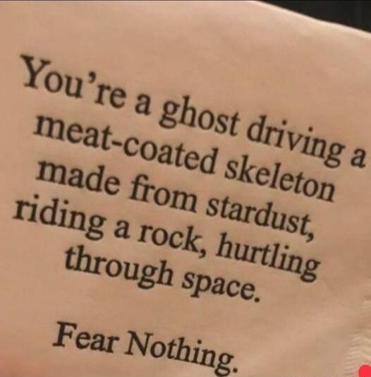 You're a ghost driving a meat-coated skeleton made from stardust, riding a rock, hurtling through space.

Fear Nothing.