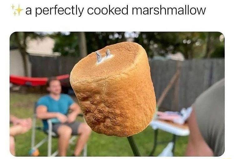 a perfectly cooked marshmallow