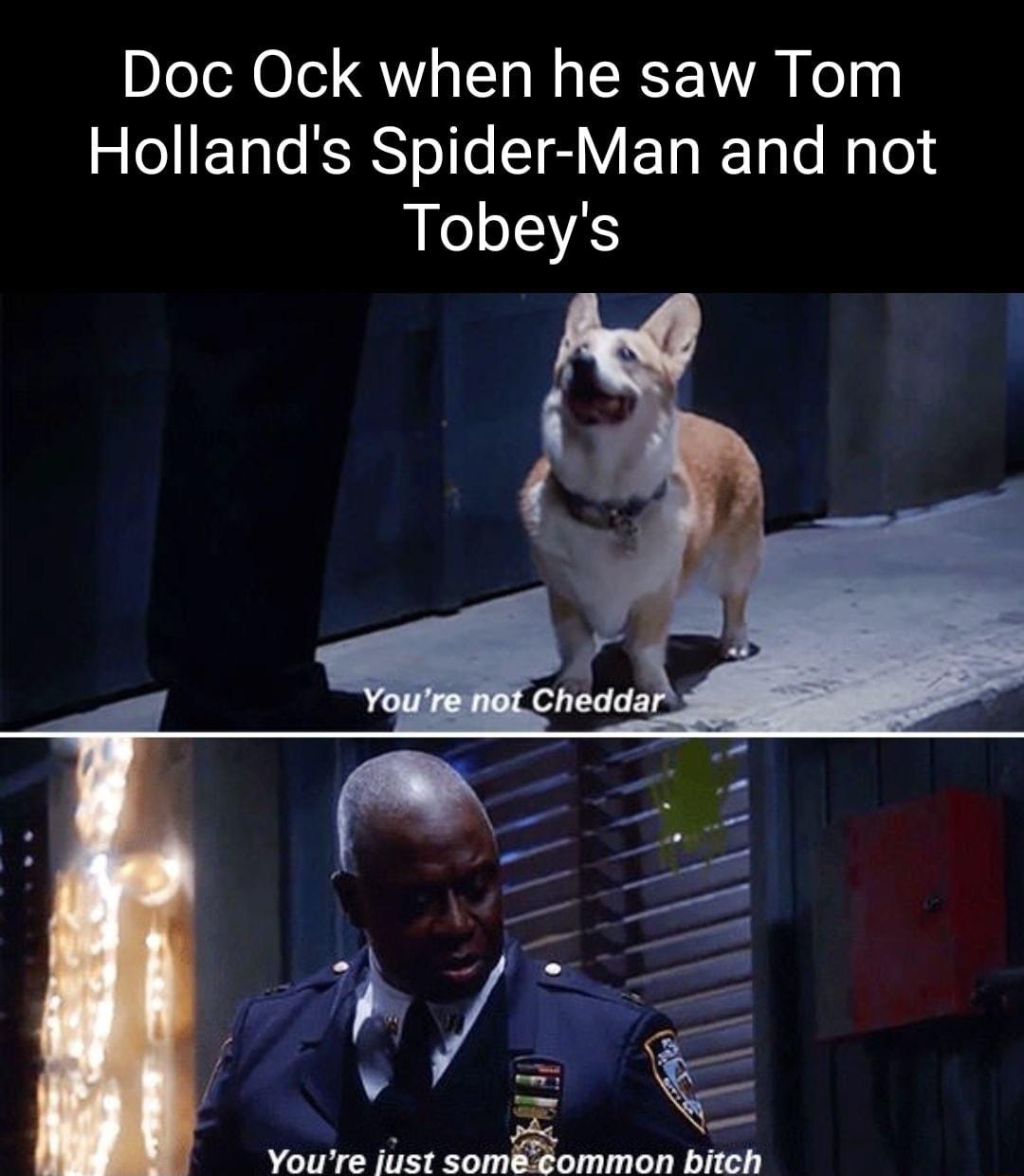 Doc Ock when he saw Tom RIEL Rl gV ED T Te Raleld Tobeys Youre just somommon bitch